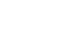 AV logo_light